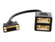 STARTECH.COM 30cm DVI auf 2x VGA Splitter Kabel - DVI-I Dual VGA Y-Kabel - Stecker / Buchse (DVISPL1VV)