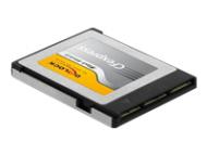 DELOCK CFexpress Speicherkarte 256GB (54066)