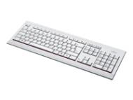 FUJITSU Fujitsu Keyboard KB521 USB standard keyboard Denmark marble grey (S26381-K521-L150)