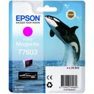 EPSON T7603 Tinte vivid magenta hohe Kapazität 25,9ml 1356 Seiten 1er-Pack (C13T76034010)
