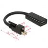 DisplayPort Adapter