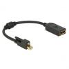 DisplayPort Adapter