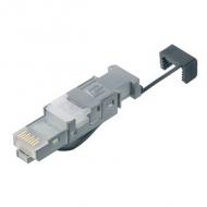 STX RJ45 Stecker AWG 22 - 26, mit schwarzem Farbkodierring