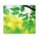 Wellness 5903801