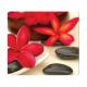 Wellness 5903801
