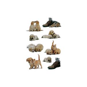 Hundewelpen 5606
