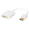 DisplayPort 1.2 - DVI Adapter