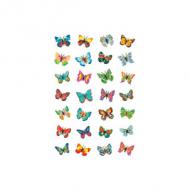 (5) Schmetterlinge