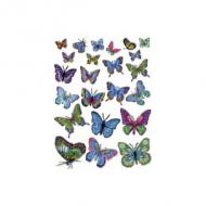 (6) Schmetterlinge