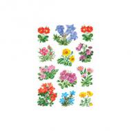 (1) Gebirgsblumen I