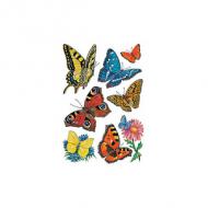 (1) Schmetterlinge