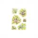 (1) Blumensträuße Veilchen 3354