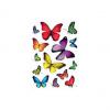 (1) Schmetterlingsvielfalt