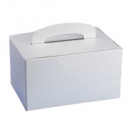 Lunch-Box, mit Tragegriff