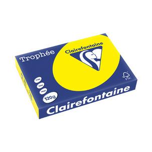 Symbolbild: Multifunktionspapier "Trophée" 1203PC
