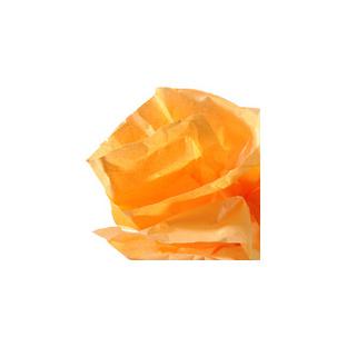 orange C200992661