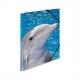 Eckspannermappe "Delfin" 7140