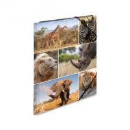 Eckspannermappe "Afrika Tiere"