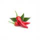 Symbolbild: Chili Pepper M5260800