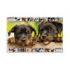 Motiv: Hunde, Vorderseite