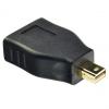 DisplayPort Adapter