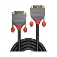 LINDY 1m DVI-D Dual Link Kabel Anthra Line (36221)