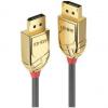 DisplayPort Adapter