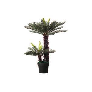 Kunstpflanze "Cycas" PACYC80