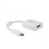 DisplayPort Adapter