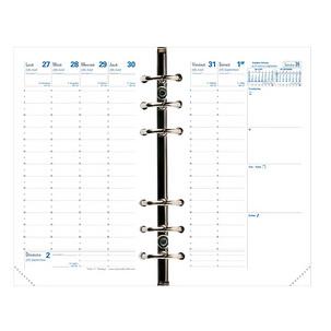 QUO VADIS Recharge 247004Q