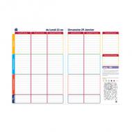 QUO VADIS Agenda scolaire "Mon Agenda Malin", 2025 / 2026 ------------------ pour le Marché: F ----------------------1 semaine sur 2 pages, période: aot  juillet, 12 mois, couverture amovible en PVC, segmentation des matires, format: 210 x 297 mm, 112 pages (564000Q)