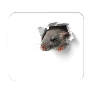 Mousepad Block "Mausi" 46654