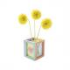 Bilderrahmen-Rohlinge "Little Paper Frames", Pastell 61601