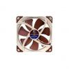 noctua