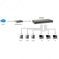 Levelone switch 50x fe fgu-5021      2xgsfp 19" (fgu-5021)