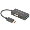 DisplayPort 1.2 - 3in1 Konverter, DP - HDMI + DVI + VGA