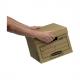BANKERS BOX EARTH Archiv- und Transportbox Budget, offen 4472401