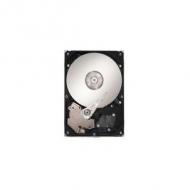 Infortrend seagate sas 12gb / s hdd, 10tb, 7200rpm für bto (hels72s3t10-0030g)