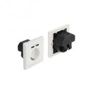 DELOCK Einbausteckdose mit 2 x USB Typ-A Ladeport 2.4A (11471)