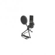 Delock usb kondensator mikrofon set - für podcasting, gaming und gesang (66331)