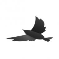 3D-Wand-Kreidetafel "BIRD"