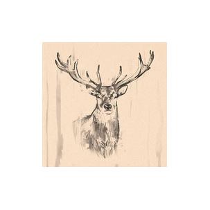 Motiv: Deer 88381