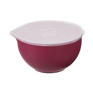 Symbolbild: Rührschüssel "Superbowl", rot 25110807