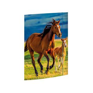 Zeichnungsmappe "Free Horses" 45353