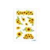 (1) Sonnenblumen
