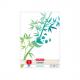 Arbeitsblock GREENline DIN A4, Lineatur 2 400160921