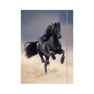 BASIC Black Horse