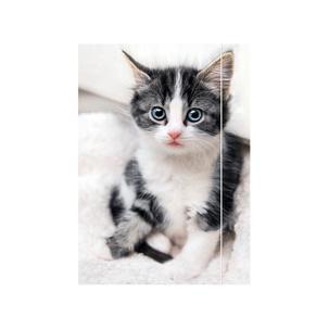 Zeichnungsmappe "Katze" 45360