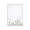 Weihnachts-Motiv-Papier "White Stars"