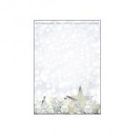 Weihnachts-Motiv-Papier "White Stars"